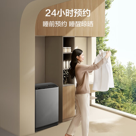 TCL 8公斤抗菌波轮洗衣机小型V2 除螨洗 宿舍租房 全自动家用 家电国家补贴 以旧换新 送装一体B80V2