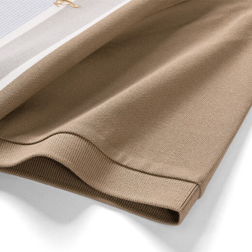 
Seven Wolf Short Sleeve T-shirt Men's Mercerized Cotton POLO Base Shirt Men's Summer Pure Cotton Vertical Stripe Short T Men's Fashion Top 701 (Khaki)-Pure Cotton 175/92A (XL)