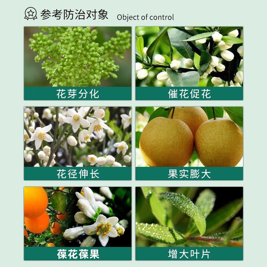 Guoguang Dingyue 3% gibberellin 920 citrus grape fruit germination and fruit preservation to improve fruit setting gibberellic acid growth adjustment 1000ml