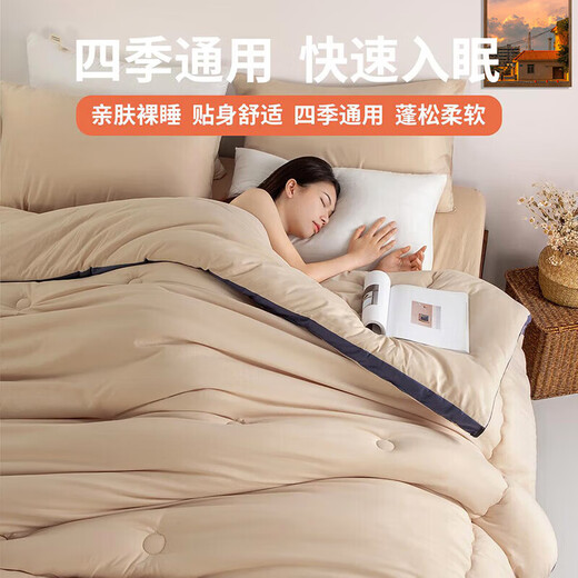 Antarctic fiber quilt quilt core, double-person thickened warm quilt in spring, autumn and winter 6Jin[Jin equals 0.5 kg] 200*230cm shallow coffee