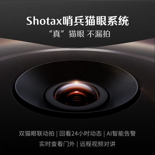 DESMAN smart door lock face palm vein recognition Sentinel visual cat eye large screen electronic lock Kirin Q50FVMax