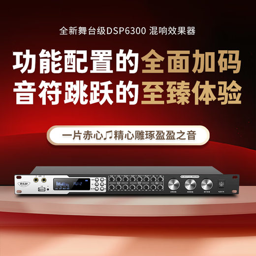 Melody DSP6300 karaoke reverberation digital audio preamp effector home theater anti-howling mixer processor including microphone mixer equalizer DSP6300 deluxe upgraded version (including cable) standard version