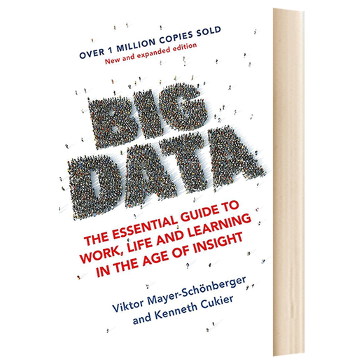 Big Data 英文原版 大数据：工作生活基本指南 英文版