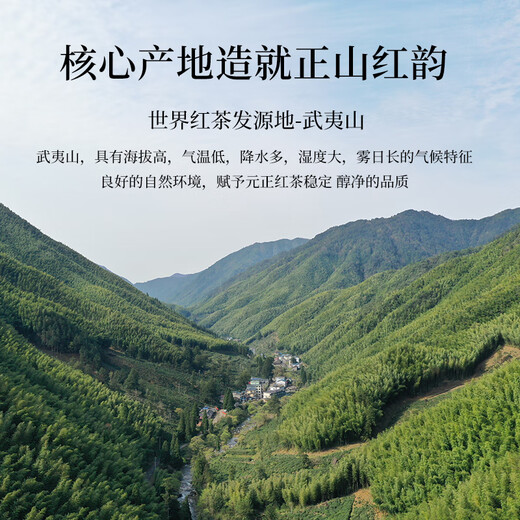 元正山 元正红茶金丝蕊武夷山正山小叶种特级150g罐装茶叶自饮 正山堂旗下