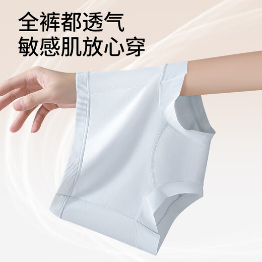 Odifen Women's Women's Pure Cotton High Cotton High Winist 10 A Antibacterial Prochotch 60S Cotty Cotton una ropa interior de cadera sin marca Boxer