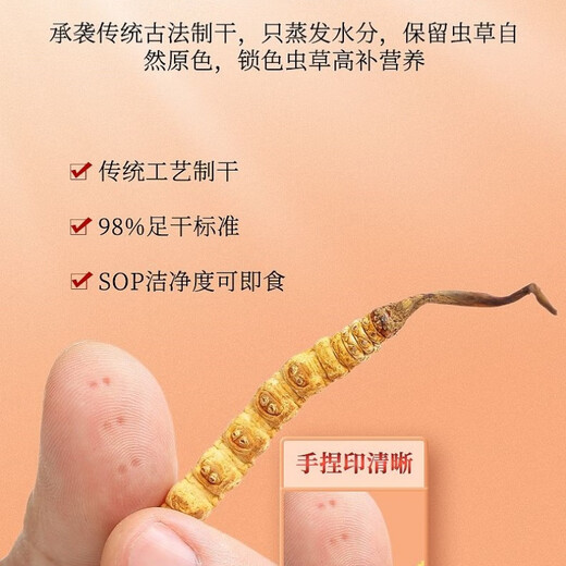 [Authentische Cordyceps] Big gebrochenes Gras authentisch Cordyceps gebrochenes Gras Cordyceps gebrochenes Grasfrüchte Cordyceps gebrochenes Gras selbst zu essen tonisch Cordyceps gebrochenes Gras Tibeter Big gebrochenes Gras 10g