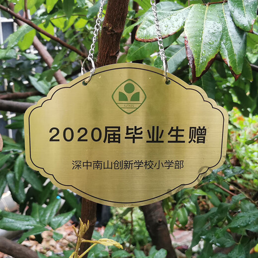 Stainless steel tree sign custom hanging outdoor tree identification QR code plant introduction hanging protection tree sign 30*20
