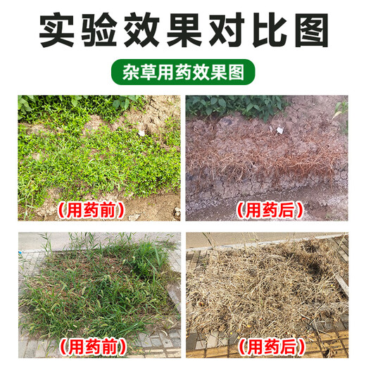Special herbicide for glufosinate and root rot, phosphorus phosphorescent herbicide for glufosinate and glufosinate 110g, free auxiliaries for regular version