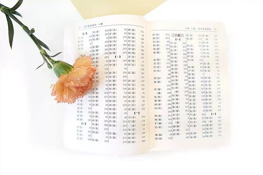 繁简字对照字典：增订本