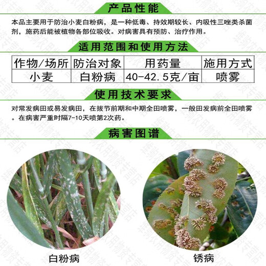 Jianpai 20% Triadimefon Copper Powder Rustin Fungicide Succulent Rose Strawberry Powdery Mildew Garlic Rust Special Medicine 500ml*1 bottle