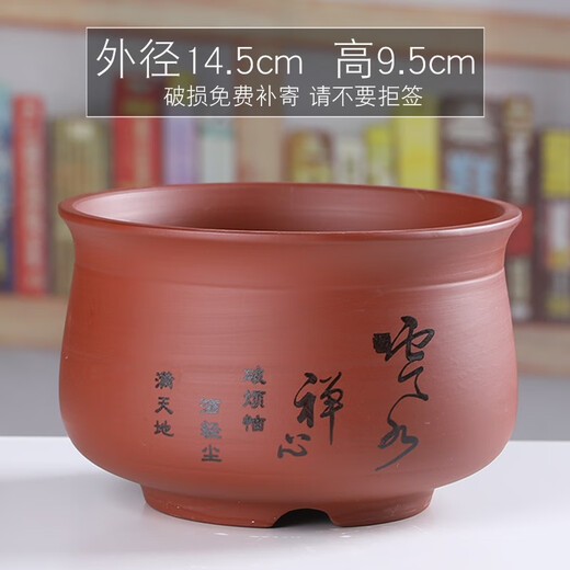 Yuxuantang purple sand flowerpot ceramic household classical Phalaenopsis orchid green dill breathable potted asparagus and calamus succulent small and medium size YY purple sand 1342 (welcoming pine) red