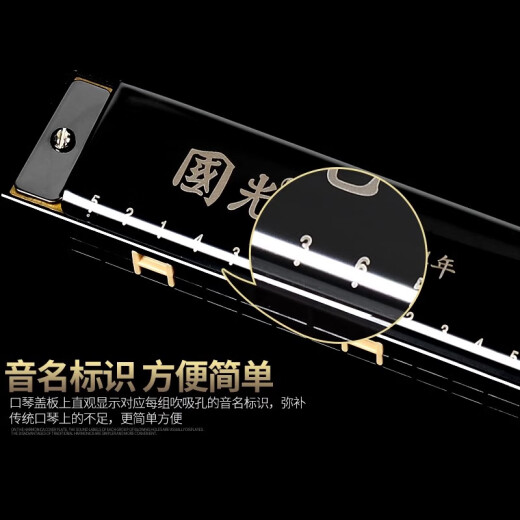 国光正品国光口琴24孔复音C调初学者学生儿童男女自学入门口风琴乐器 28孔复音C调-银色+全套赠品