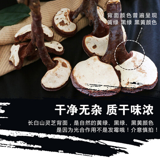 Ganjunzhuang changbai montagne ganoderma lucidum rouge ganoderma lucidum avec poudre de spore semi-wild ganoderma lucidum nord-est ganoderma lucidum huile pot plante