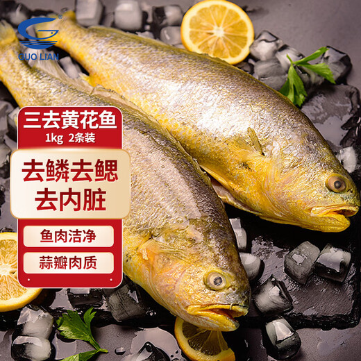 GUO LIAN Guolian Sanlu yellow croaker 2 pieces, total net weight 2Jin Jin is equal to 0.5kg, domestic Ningde East China Sea large yellow croaker dinner seafood and aquatic ingredients
