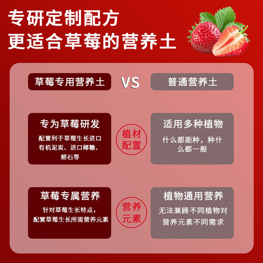 Devodo Strawberry Special Nutrient Soil 8L Gardening Green Planting Fruits and Vegetables Organic Soil Balcony Potted Farmhouse Planting Soil