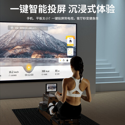 HEAD rowing machine hydromagnetic dual resistance household intelligent self-generating folding solid wood water resistance rowing machine fitness equipment oak color/upgraded self-generating dual resistance/real-life theme