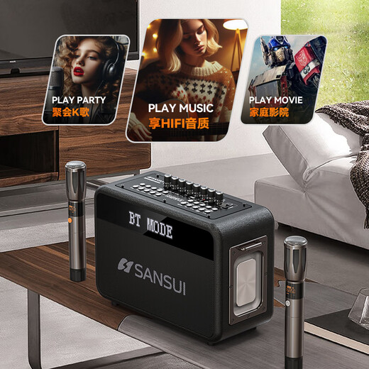 山水（SANSUI）便携式手提音箱广场舞音响音箱带KTV无线话筒小型直播k歌音响移动户外大功率声卡卡拉OK G13【歌词同步+一键消音】