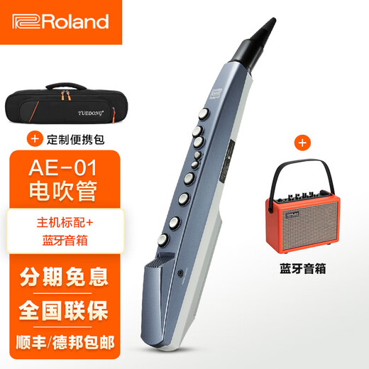 罗兰（Roland）ae01电吹管电萨克斯自带音源民族音色ae05c初学入门电子管乐 罗兰AE01电吹管标配+蓝牙音箱
