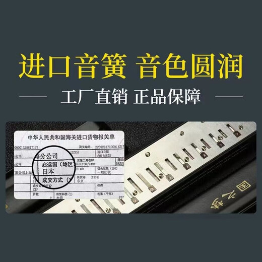 Guoguang Importé Gong Guoguang harmonica authentique en polyphonique 24 trous # A / B / C / D / F / G Tune / F / F / G Tune / F / Adult Professional Performance Niveau #G Tune (A-FLOAT)