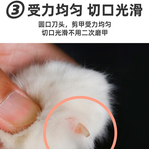 Anti-cutting small blind scissors cat nail clippers special pet cat small round hole novice nail clipper nail clipper small blind scissors blue and white double holes