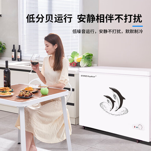 荣事达688商用家用卧式大冷柜大容量 冷藏冷冻转换冰柜商用小型单温冰箱全冷冻柜 一级能效 【一级能效 节能低霜】330升单温