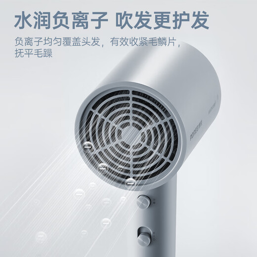 Feike Borui hair dryer household negative ion portable quick-drying hair care high-wind hair dryer for dormitory soft wind constant temperature hair care PH1636