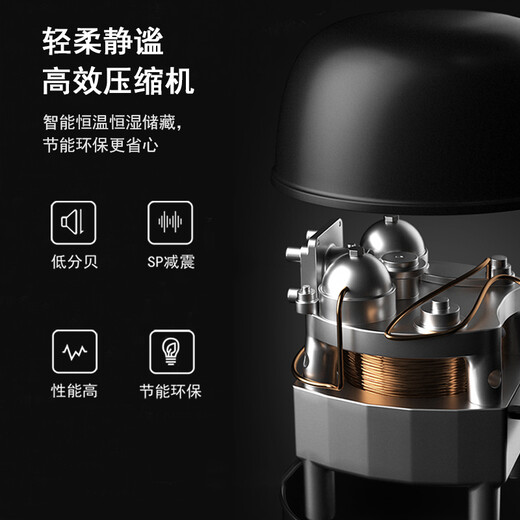 HOMESUN Red Wine Cabinet Constant Temperature Electronic Constant Temperature Wine Cabinet Mini Red Wine Storage Cabinet Small Wine Cabinet European Living Room Wine Cabinet 28 Pack (Upgraded Compressor Type) 28 Bottles