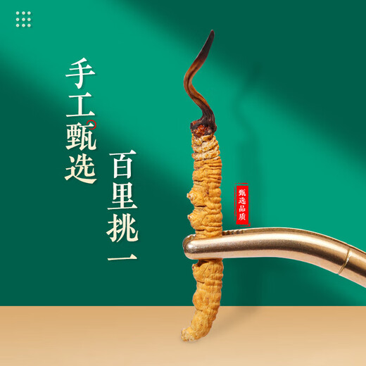 Auténtico cordyceps Cordyceps Cordyceps Cordyceps Caja de regalo Goods Dry Goods para novelas y productos secos para la salud para Nagqu, Tíbet 30 cajas de regalo (dos piezas por gramo)