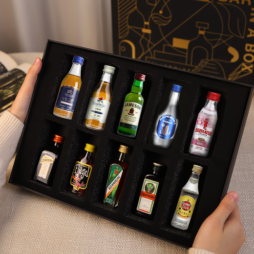 
ERGOUPUB small wine version gift box mini wine version whiskey bottle wine set gift for boyfriend 10 bottle wine version gift box