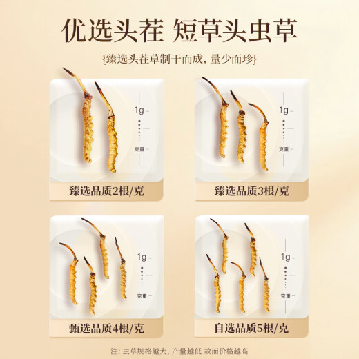 Cordyceps de mar de color púrpura y azul 3 raíces/g 20g 60 Nuevos cordyceps secos Cordyceps Tonic [Dragon Boat Festival Gift]