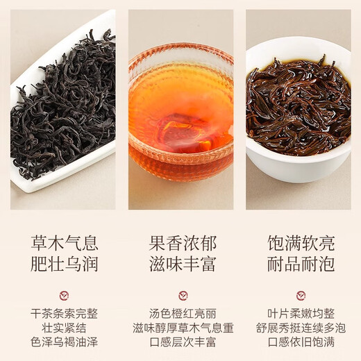 正山小种红茶武夷山桐木关正宗茶叶特级440g办公室口粮茶 送礼客户