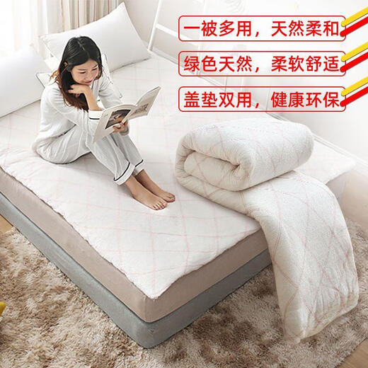 棉被垫被床垫棉被子冬天加厚学生宿舍棉花被芯春秋被褥棉胎被 2米* 2.2米 10 斤