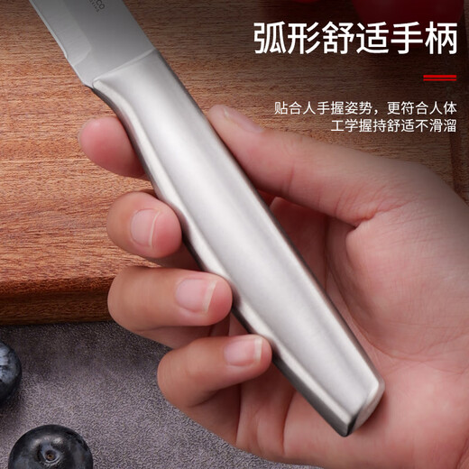 拜格（BAYCO）不锈钢水果刀家用削皮刀刨皮刀全钢西瓜刀削皮器便携小刀XY90101