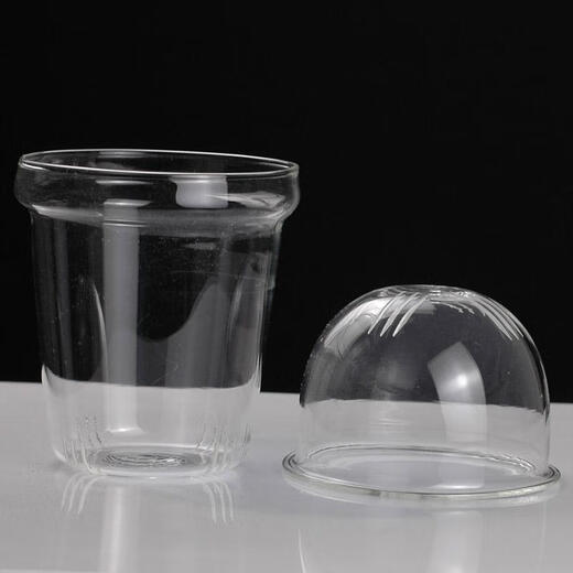 Beyzk Enshousu 1 Glas Tee Leck Glasdeckel Innere Liner Teekannenzubehör kann mit Topfdeckel Deckel Deckel Filter Tee Leck PJ-11975 Dampf und Kochen integrierter Dampftee Teil ausgestattet werden