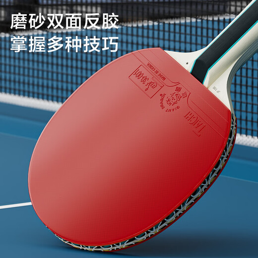 京东京造 雨燕一星乒乓球拍双拍2只装横直对拍训练套装双面反胶1星 横直板