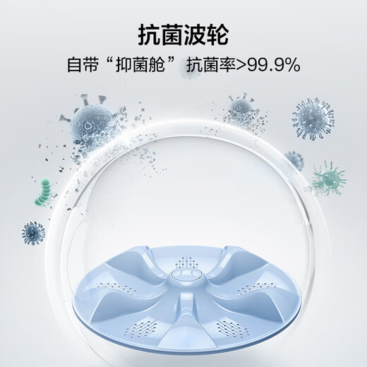 TCL 8公斤抗菌波轮洗衣机小型V2 除螨洗 宿舍租房 全自动家用 家电国家补贴 以旧换新 送装一体B80V2