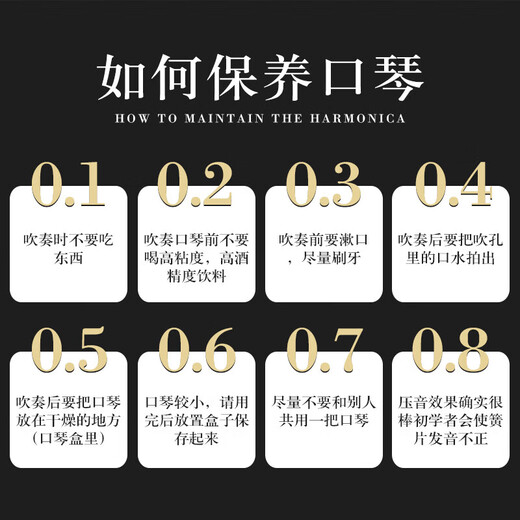 天鹅（TianE）【捡漏清仓】28孔复音口琴成人重音专业演奏级28孔高档送礼 雅典黑【复音C调】全套礼品