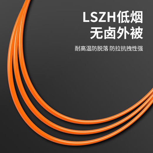 辉宏时代 万兆多模光纤跳线LC-LC-SC-FC-ST光纤OM3/OM4双芯尾纤跳纤电信级光模块连接线收发器光纤多模尾纤 千兆多模双芯光纤跳线LC-LC 3米