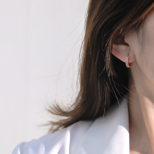 DL 1998 Rose Gold Earrings Temperament Earrings 2024 New Micro-Inlaid Fashionable Versatile Earrings Double Layer Round TS-220121