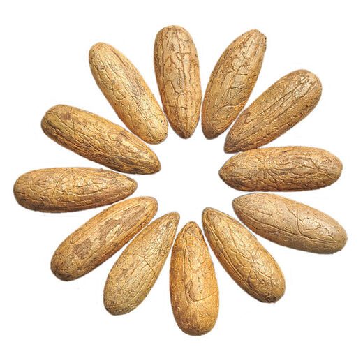 Miaoling Pavilion Thousand-Eyed Bodhi Seed Atomic Seed Weathered Extra Large Red-striped Fruit Star-and-Moon Bodhi Fruit Handpiece Bracelet Materials Spider Pattern/Yin-skinned Old Fruit-2 Long Fruits 8-10cm Long-Selected Bodhi //Sandpaper