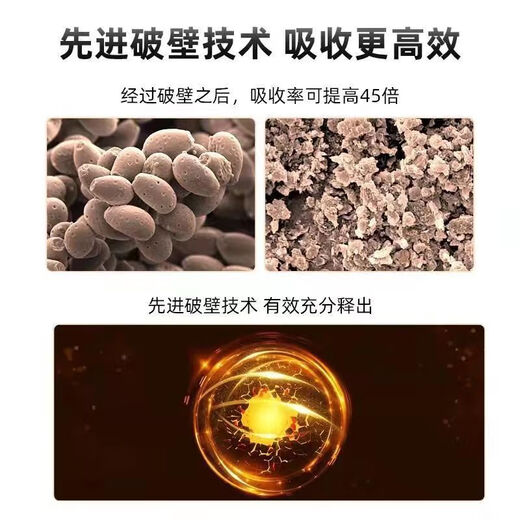 [Vente directe en pharmacie] Pékin Tongrentang Ganoderma Lucidum Spore Huile Soft Capsule améliore l'immunité pour l'adulte Ganoderma Lucidum Spore Mur cassé Ganoderma Lucidum Spore Extraction de poudre