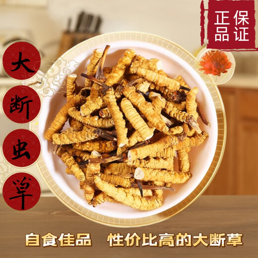 Cordyceps Sinensis Snow Mountain в тибетской области Cordyceps Sinensis крупные сломанные cordyceps sinensis едят большую сломанную траву и доступный суп и жеватель