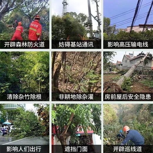 Cyclazinone tree killing powder, dead tree removal, big tree root rot agent, strong killing big tree special medicine, gardening fertilizer, dead tree, 1 barrel special type