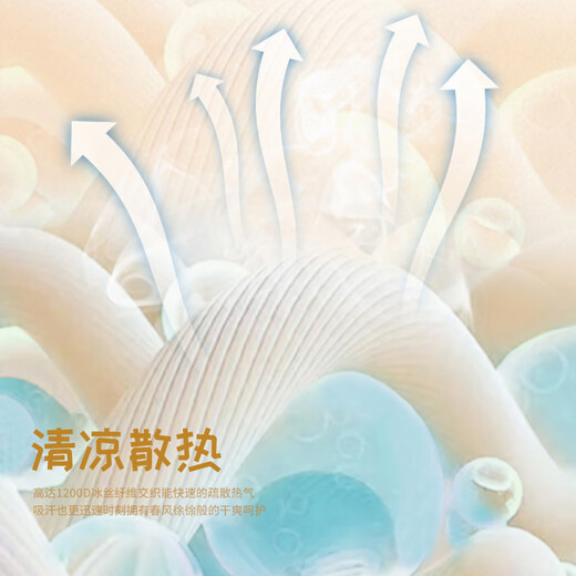 CLCEY夏天冰丝地毯客厅免洗可擦卧室床边毯2024新款家用免打理防滑凉席 ZK693 200X400CM触感舒适