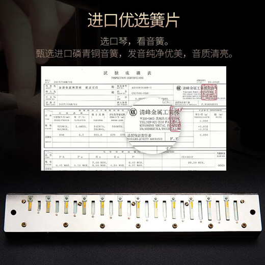 国光德国进口音簧专业演奏级重音C调复音口琴高级成人高端殿堂送礼 24孔 蓝色复音C调【专业演奏级】