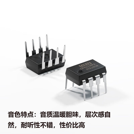 Fosi Audio Muses02 OPA2134PA High Fidelity HiFi Fever Dual Op AMP-Chip für BT20APRO V3 ZA3 Digitalverstärker Musen02 [Ein Paar]