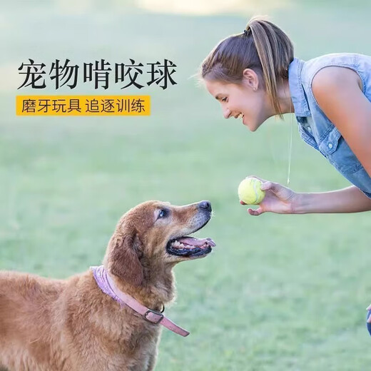 Dog toy ball edge Mu Kejin fur dog walking dog training dog special bite-resistant molar puppy pet dog tennis ball pet dog tennis ball-yellow-1