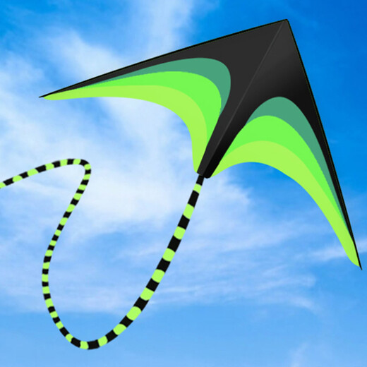 Yunya Kite 2025 Nouvelle brise facile à vol Easy Loding Extra grande 1,6 mètre Bobine de prairies Adulte Toys Outdoor 2 mètres queue de cerf-volant 10 mètres + 200 mètres Piece Wheel