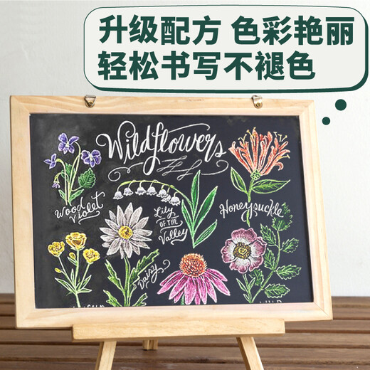DSB迪士比 圆形彩色100支/盒 彩色粉笔无尘儿童家用黑板报教学教师专用幼儿园涂鸦儿童鲜艳  CK-1105