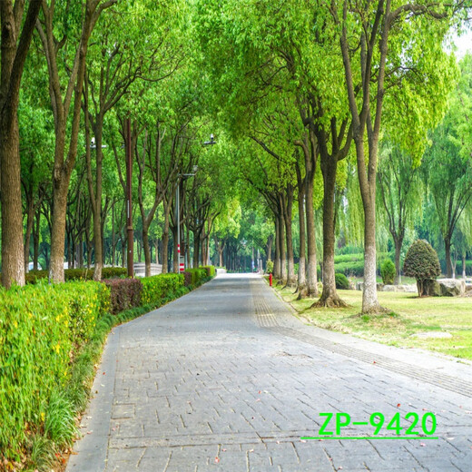 
Shantoulin Village anchor background cloth 3D three-dimensional internet celebrity live broadcast room background landscape outdoor scenery background cloth ZP-10975 2 meters wide + 2 meters high (live broadcast size)